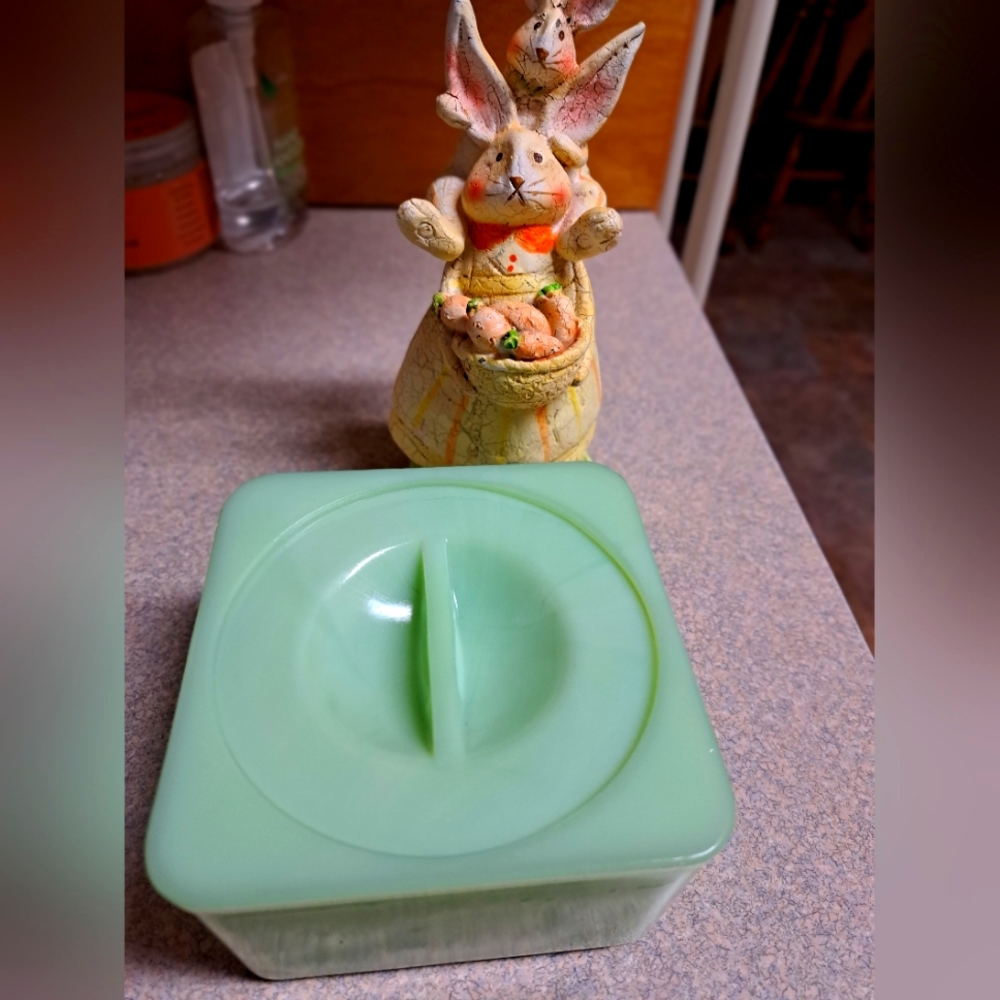 Vintage jadeite refridish